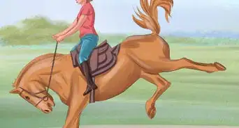 Tame Your Horse or Pony