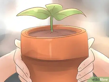 Image titled Become a Botanist Step 10