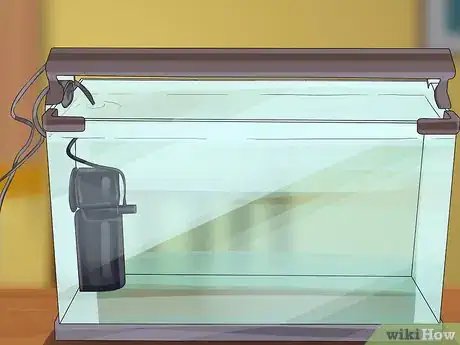 Image titled Start a Saltwater Aquarium Step 22
