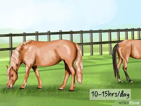 Image titled Care for a Draft Horse Step 5