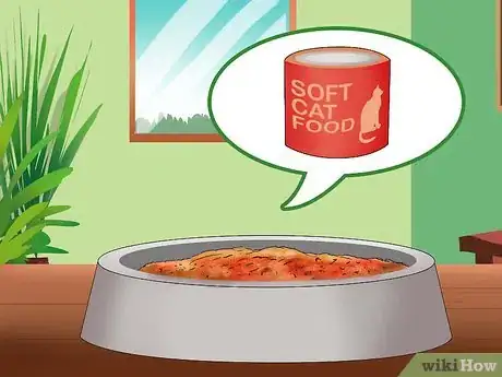 Image titled Prevent Kidney Disease in Cats Step 1