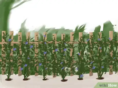 Image titled Train Clematis Step 13