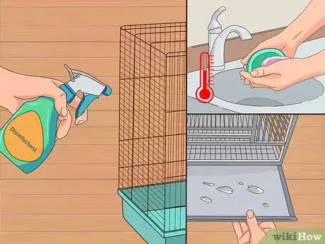 Image titled Treat Chlamydiosis in Cockatiels Step 8