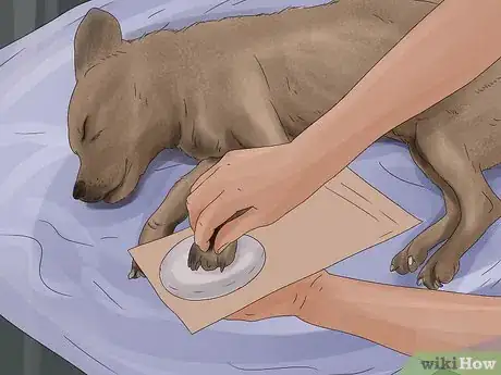 Image titled Treat a Dog for Rabies Step 17