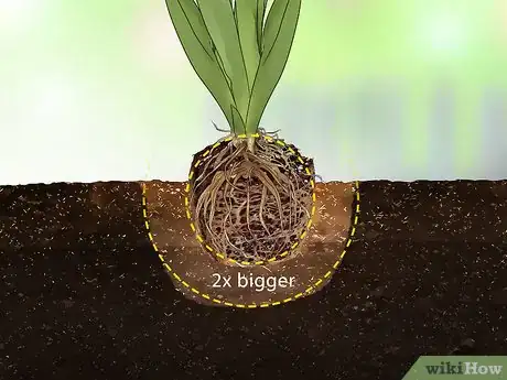 Image titled Plant Under a Tree Step 6