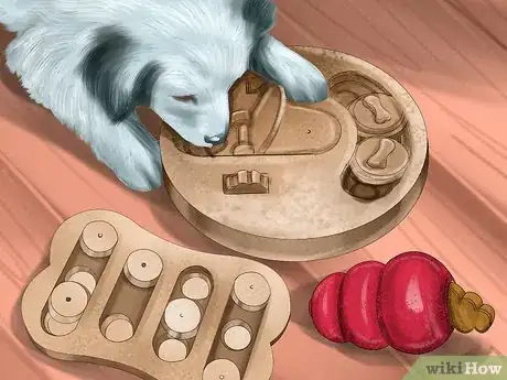 Image titled Keep Your Pet Occupied when You Are Not at Home Step 1
