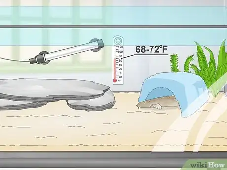 Image titled Keep Japanese Weather Loaches Step 12