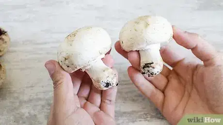 Image titled Prepare Mushrooms Step 17