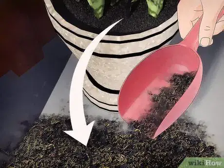 Image titled Overwinter Tropical Plants Step 12