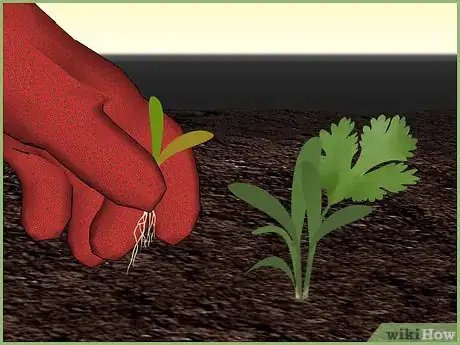 Image titled Plant a Seed Step 8