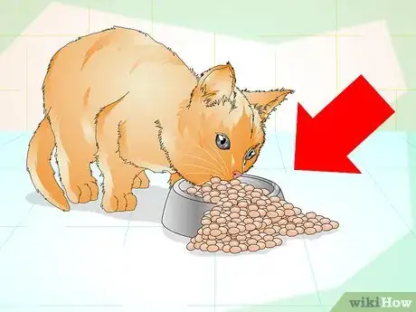 Image titled Determine if Your Cat is Overweight Step 7