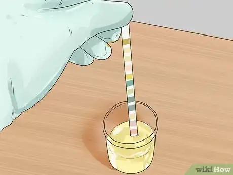 Image titled Diagnose Diabetes in Miniature Schnauzers Step 12