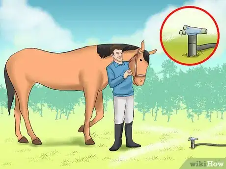Image titled Train a Horse to Walk Through Water Step 4