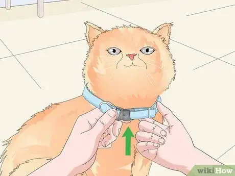 Image titled Buy a Collar for Your Cat Step 7