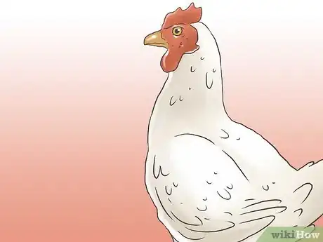 Image titled Raise Chickens for Eggs Step 8