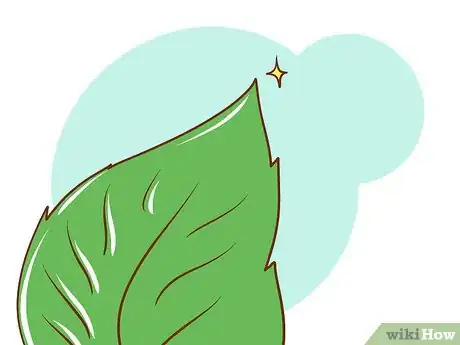 Image titled Get Rid of Poison Ivy Step 1Bullet2