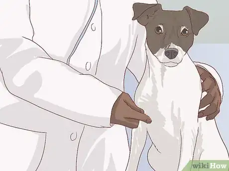 Image titled Feed an Older Dog with Heart Disease Step 9