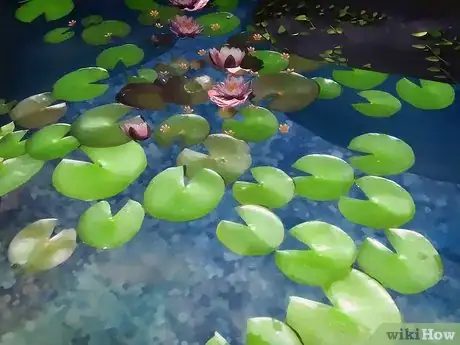 Image titled Care for Your Pond Step 7