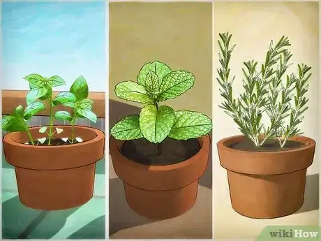 Image titled Plant a Culinary Herb Garden Step 1