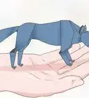 Make an Origami Wolf