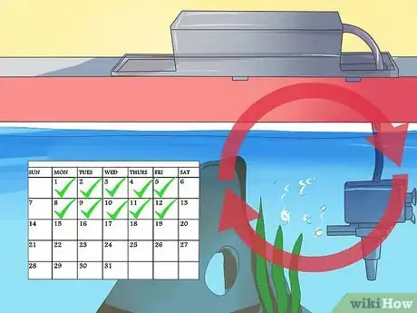 Image titled Make Your Fish Live Longer Step 9