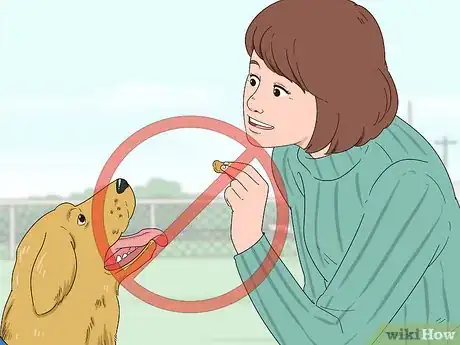 Image titled Interact With Someone With a Service Animal Step 5