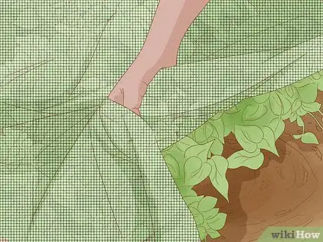 Image titled Control Locusts Step 4