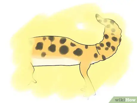 Image titled Choose a Leopard Gecko Step 5