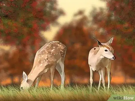 Image titled Photograph Autumn Step 11