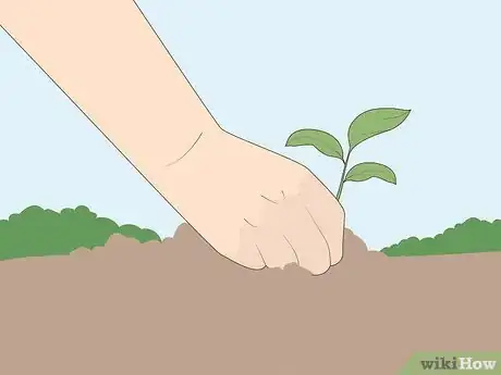 Image titled Help Kids Who Dislike Sports Stay Active and Fit Step 11