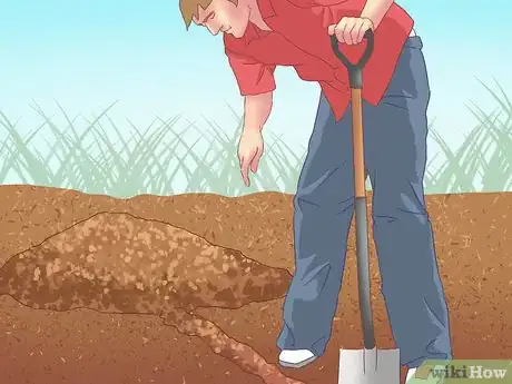 Image titled Catch Moles Step 14