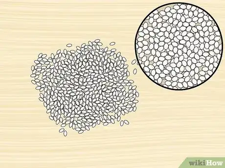 Image titled Identify a Rice Variety Step 6