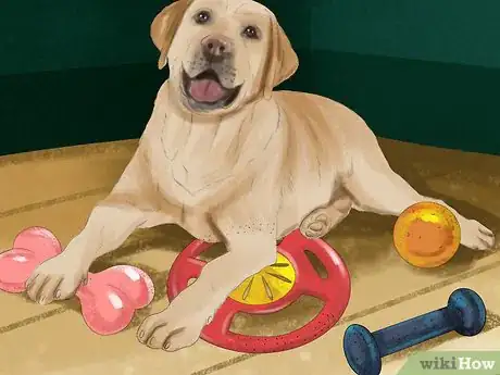 Image titled Relieve Your Dog's Boredom Step 1