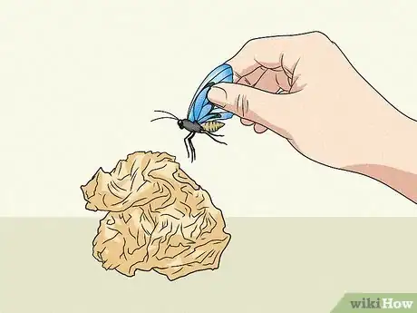 Image titled Make a Butterfly Feeder Step 3