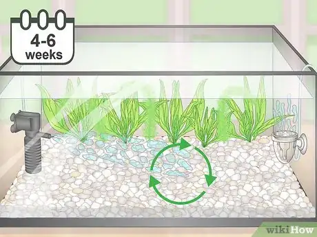 Image titled Set up a Planted Goldfish Aquarium Step 15