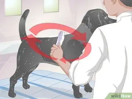 Image titled Make Grooming Comfortable for Older Dogs Step 9