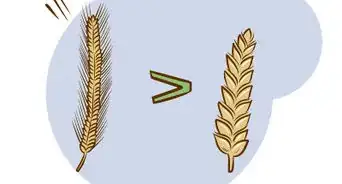 Choose Foods That Help Maintain Your Beauty