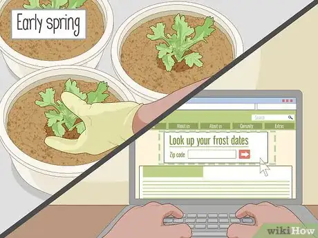 Image titled Divide Overgrown Perennials Step 2