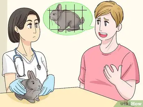 Image titled Care for a Polish Rabbit Step 16