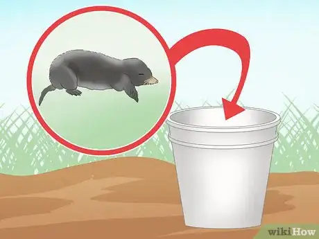 Image titled Catch Moles Step 19