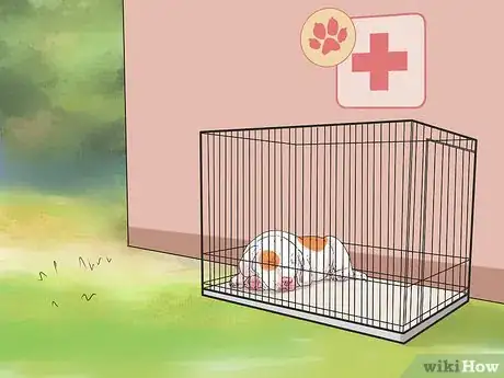 Image titled Prevent a Dog and Cat Tapeworm Infection (Dipylidium Infection) Step 12