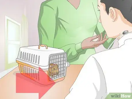 Image titled Spot Foot Sores on Guinea Pigs Step 9