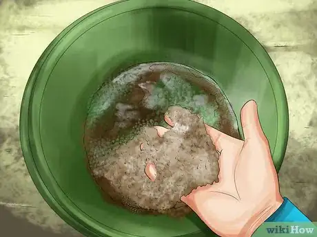 Image titled Feed Sugar Beet to a Horse Step 5