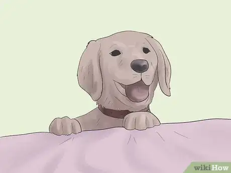 Image titled Raise a Balanced Puppy Step 2