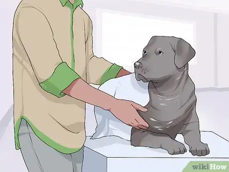 Image titled Handle New Noise Phobias in Older Dogs Step 6