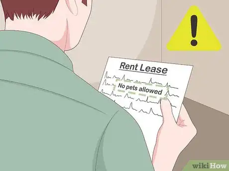 Image titled Find a Cat‐Friendly Rental Step 11