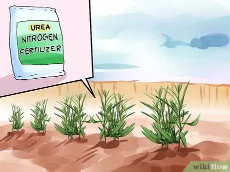 Image titled Grow Tarragon Step 9