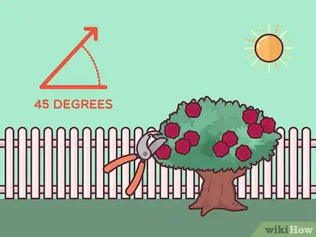 Image titled Save a Dying Rose Bush Step 7