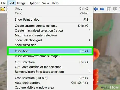 Image titled Use Irfanview to Edit Pictures Step 5