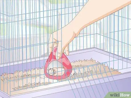 Image titled Deal With a Mean Hamster Step 10